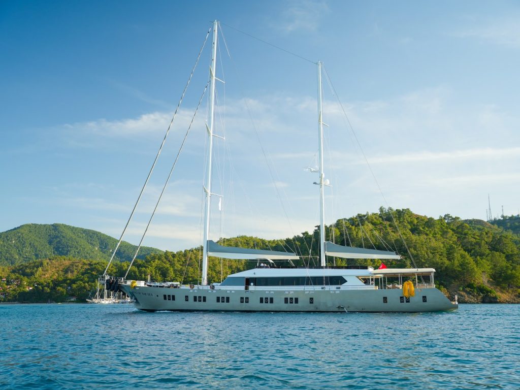 Make a Breathtaking Voyage on the King of the Sea in 2026